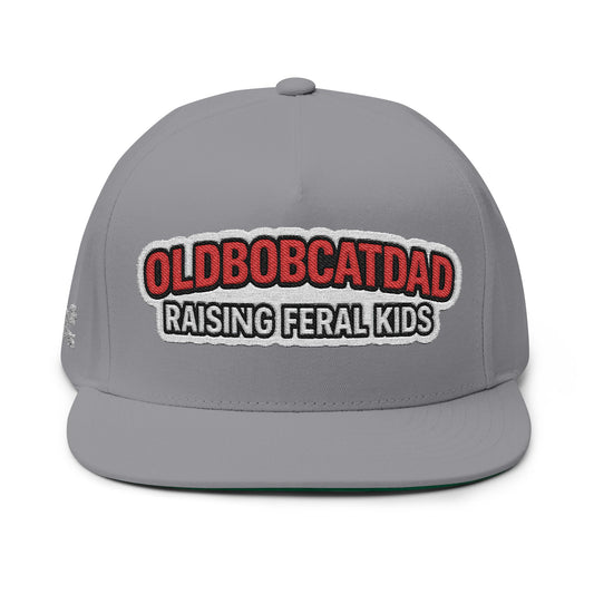 Funny Dad Flat Bill Cap with Embroidery - Perfect Gift for Father's Day